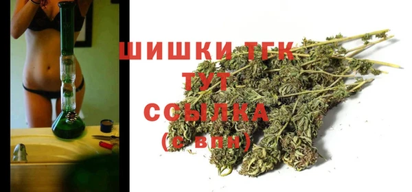 a pvp Новозыбков