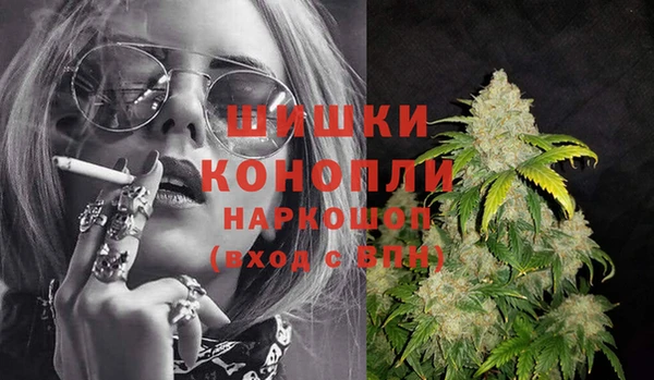a pvp Новозыбков