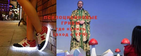 мдпв Новодвинск
