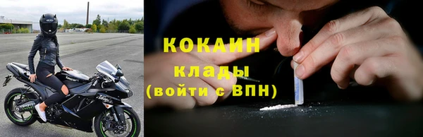 a pvp Новозыбков