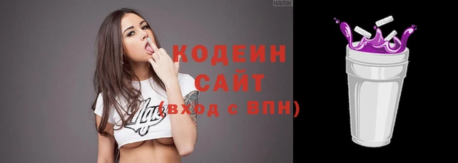 a pvp Новозыбков