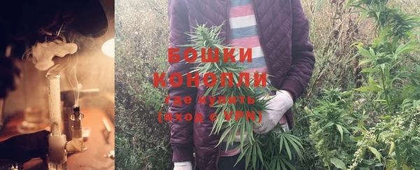 a pvp Новозыбков