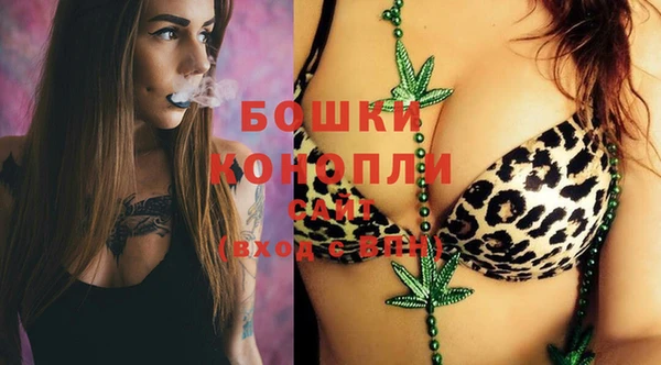 мдпв Новодвинск