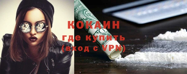 мдпв Новодвинск