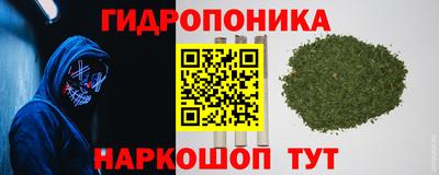экстази Кингисепп
